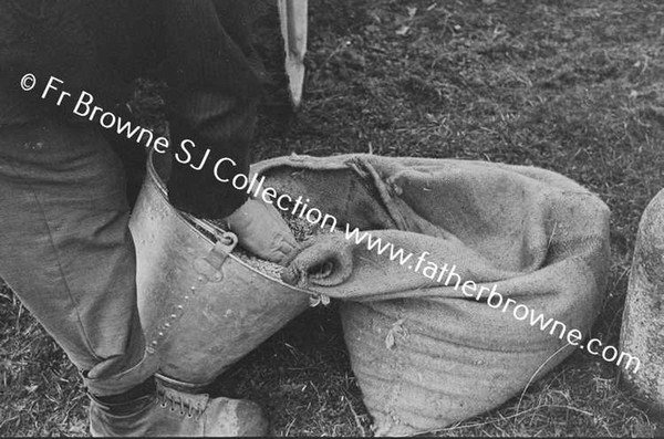 SOWING OATS BY MACHINE DAIRY HILL